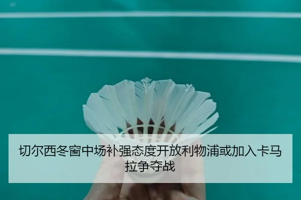 切尔西冬窗中场补强态度开放利物浦或加入卡马拉争夺战 | ODSports